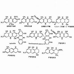 Color system curing additive Color system curing additive