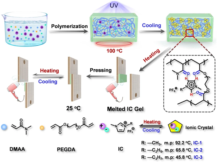 DMAA-based adhesive polymer modifiers1