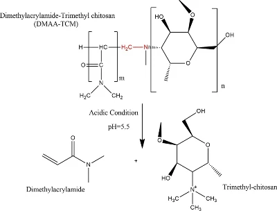 Thermal-resistant polymer DMAA copolymer Thermal-resistant polymer DMAA copolymer