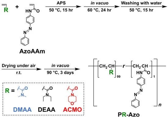 Hydrophilic ACMO for hydrogel adhesives