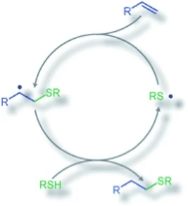 Thiol-ene click chemistry in adhesives Thiol-ene click chemistry in adhesives