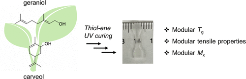 High refractive index UV nail gel thiol-80