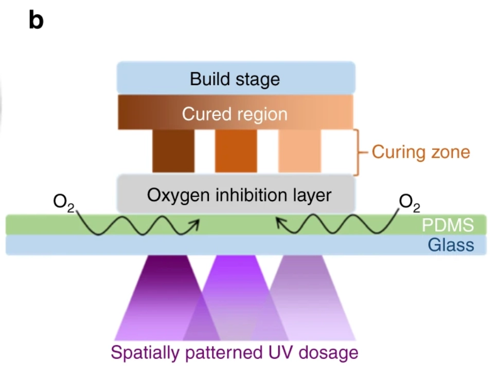 Oxygen inhibition resistant UV resin